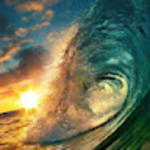 Meet your Posher, Jess - Picture 1 of 1